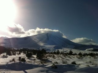 IMG_0217 IMG_0217