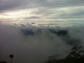 IMG_2927 IMG_2927